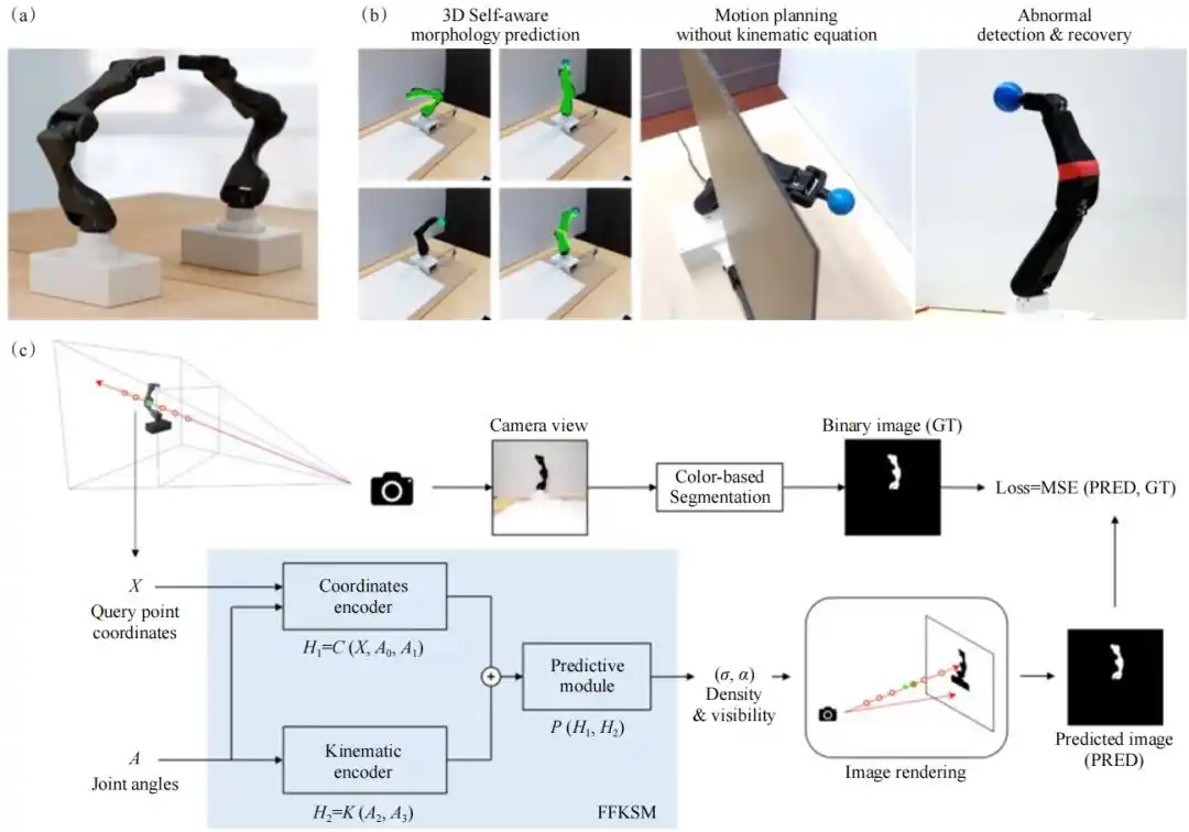 Hod Lipson 团队的数字镜像自我建模框架